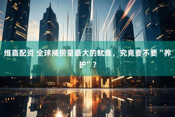 维嘉配资 全球捕捞量最大的鱿鱼，究竟要不要“养护”？